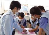 新人研修
